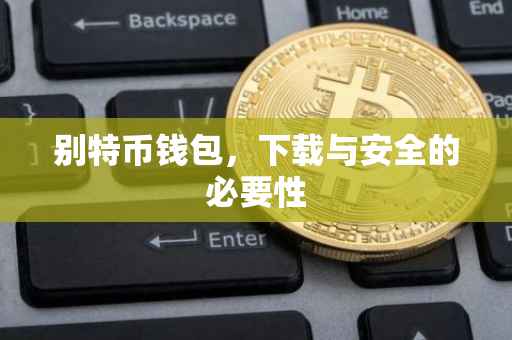 别特币钱包，下载与安全的必要性