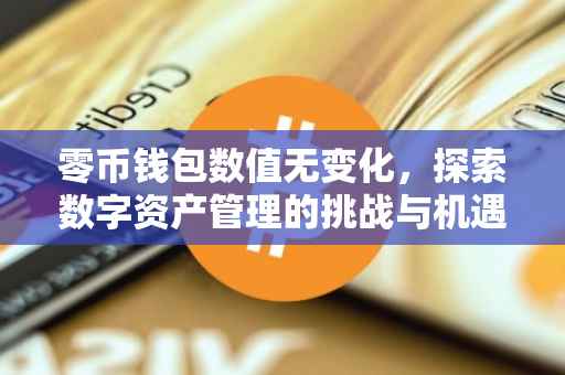 零币钱包数值无变化，探索数字资产管理的挑战与机遇