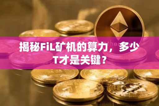 揭秘FiL矿机的算力，多少T才是关键？