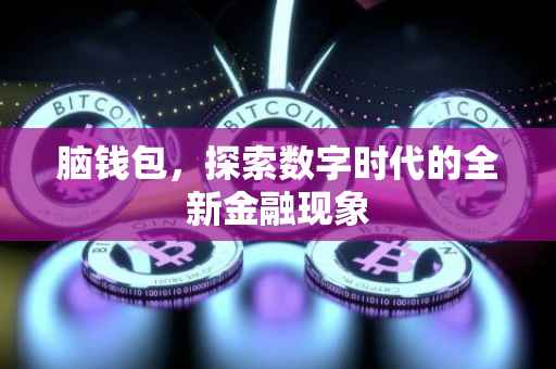 脑钱包，探索数字时代的全新金融现象