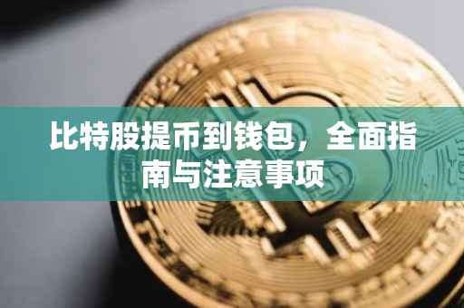 比特股提币到钱包，全面指南与注意事项