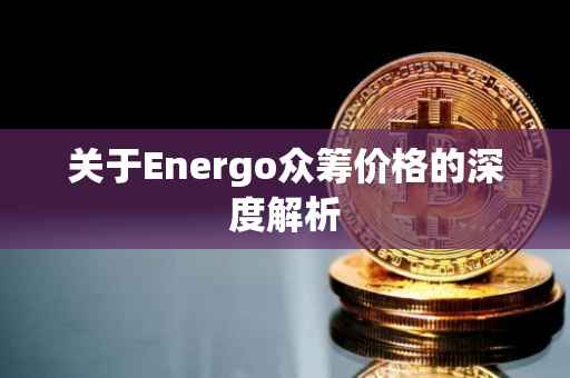 关于Energo众筹价格的深度解析
