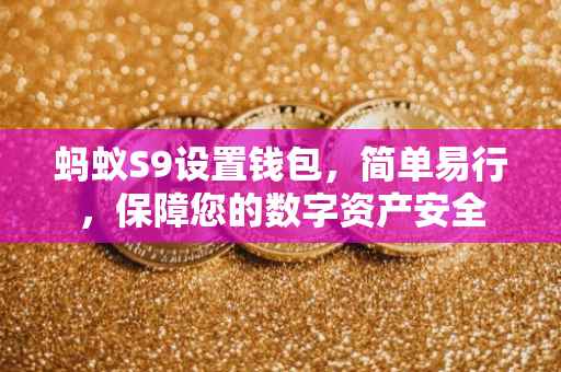蚂蚁S9设置钱包，简单易行，保障您的数字资产安全