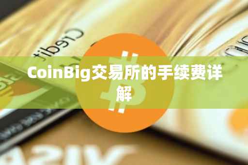 CoinBig交易所的手续费详解