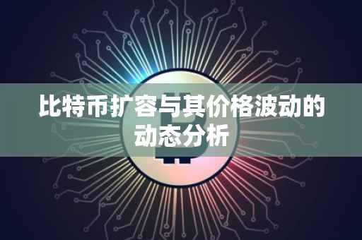 比特币扩容与其价格波动的动态分析
