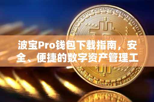 波宝Pro钱包下载指南，安全、便捷的数字资产管理工具