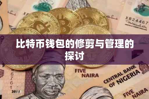 比特币钱包的修剪与管理的探讨