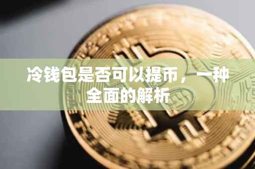冷钱包是否可以提币，一种全面的解析