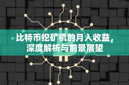 比特币挖矿机的月入收益，深度解析与前景展望