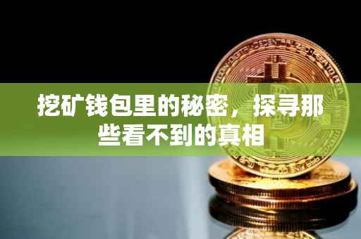 挖矿钱包里的秘密，探寻那些看不到的真相