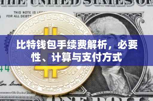 比特钱包手续费解析，必要性、计算与支付方式