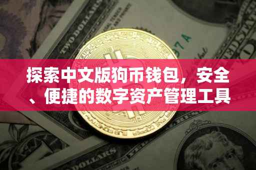 探索中文版狗币钱包，安全、便捷的数字资产管理工具