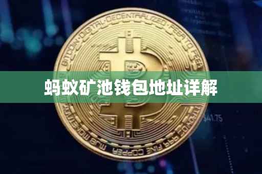 蚂蚁矿池钱包地址详解