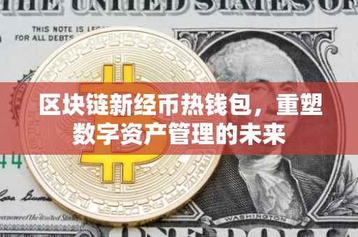 区块链新经币热钱包，重塑数字资产管理的未来