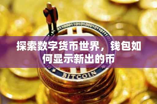 探索数字货币世界，钱包如何显示新出的币