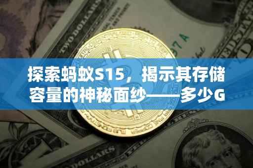 探索蚂蚁S15，揭示其存储容量的神秘面纱——多少G？