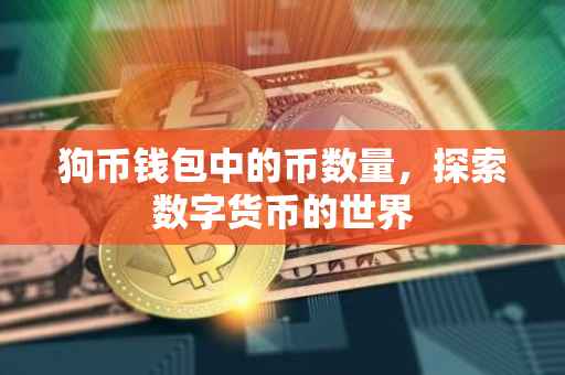 狗币钱包中的币数量，探索数字货币的世界