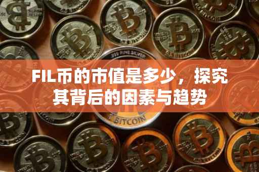FIL币的市值是多少，探究其背后的因素与趋势