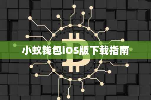 小蚁钱包iOS版下载指南