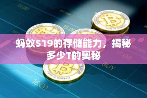 蚂蚁S19的存储能力，揭秘多少T的奥秘