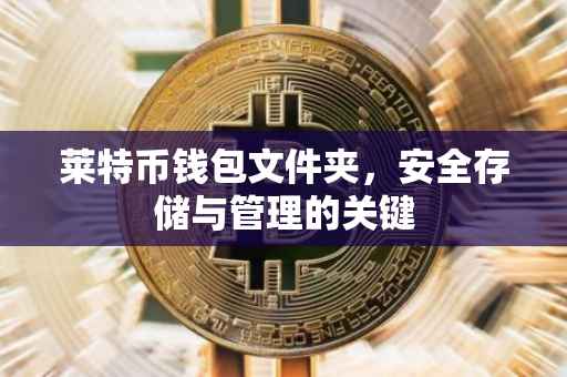 莱特币钱包文件夹，安全存储与管理的关键