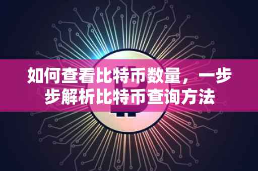 如何查看比特币数量，一步步解析比特币查询方法