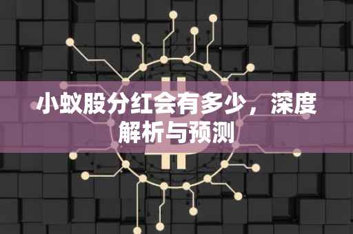 小蚁股分红会有多少，深度解析与预测
