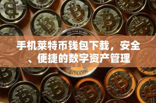 手机莱特币钱包下载，安全、便捷的数字资产管理
