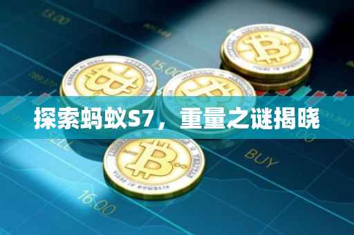 探索蚂蚁S7，重量之谜揭晓