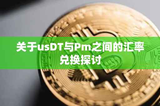 关于usDT与Pm之间的汇率兑换探讨