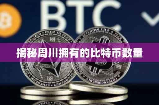 揭秘周川拥有的比特币数量