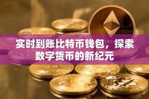 实时到账比特币钱包，探索数字货币的新纪元