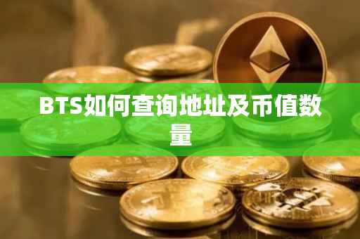 BTS如何查询地址及币值数量