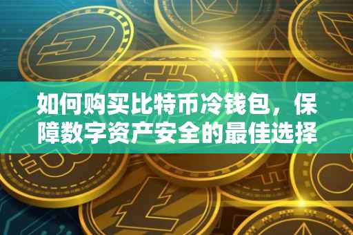 如何购买比特币冷钱包，保障数字资产安全的最佳选择