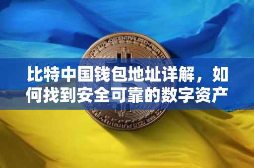 比特中国钱包地址详解，如何找到安全可靠的数字资产存储之所