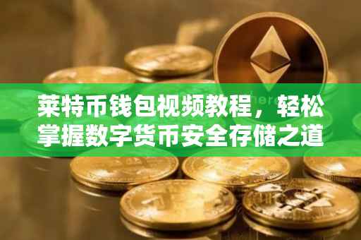 莱特币钱包视频教程，轻松掌握数字货币安全存储之道