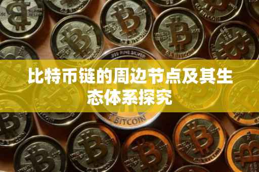 比特币链的周边节点及其生态体系探究