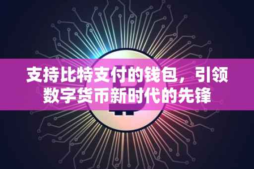 支持比特支付的钱包，引领数字货币新时代的先锋