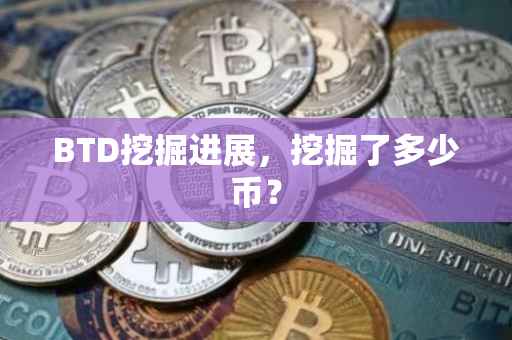BTD挖掘进展，挖掘了多少币？