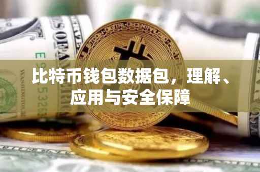 比特币钱包数据包，理解、应用与安全保障