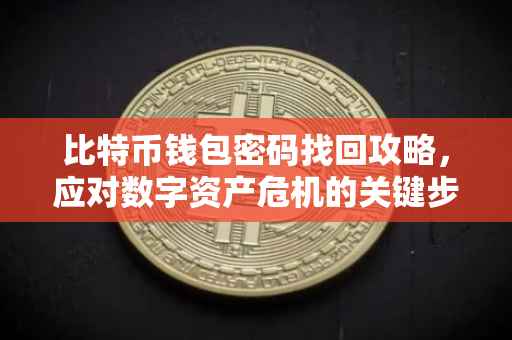 比特币钱包密码找回攻略，应对数字资产危机的关键步骤