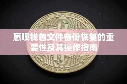 赢呗钱包文件备份恢复的重要性及其操作指南