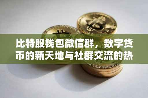 比特股钱包微信群，数字货币的新天地与社群交流的热土