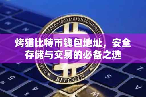 烤猫比特币钱包地址，安全存储与交易的必备之选
