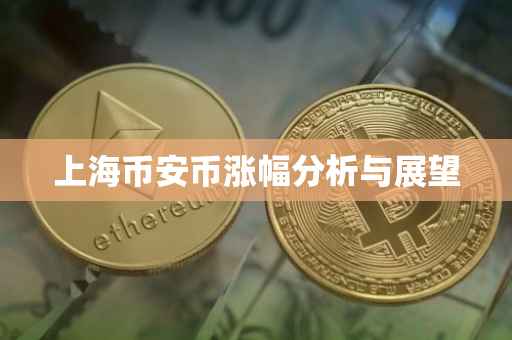 上海币安币涨幅分析与展望