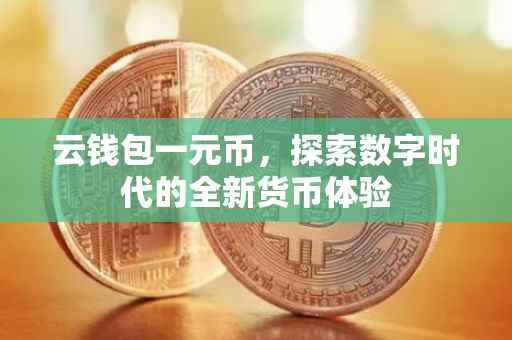 云钱包一元币，探索数字时代的全新货币体验