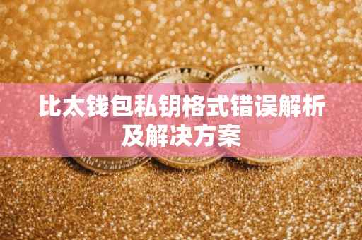 比太钱包私钥格式错误解析及解决方案