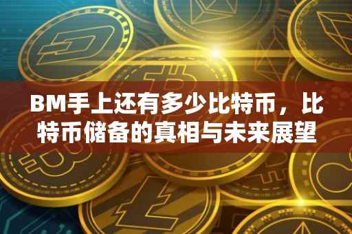BM手上还有多少比特币，比特币储备的真相与未来展望
