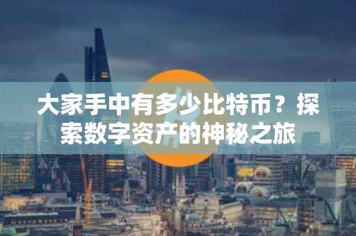 大家手中有多少比特币？探索数字资产的神秘之旅