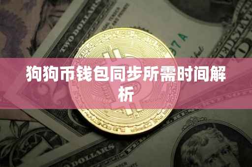狗狗币钱包同步所需时间解析